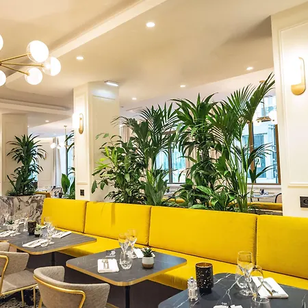 Des Vosges Bw Premier Collection