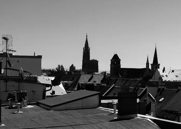 Hotel Des Vosges Bw Premier Collection Straatsburg